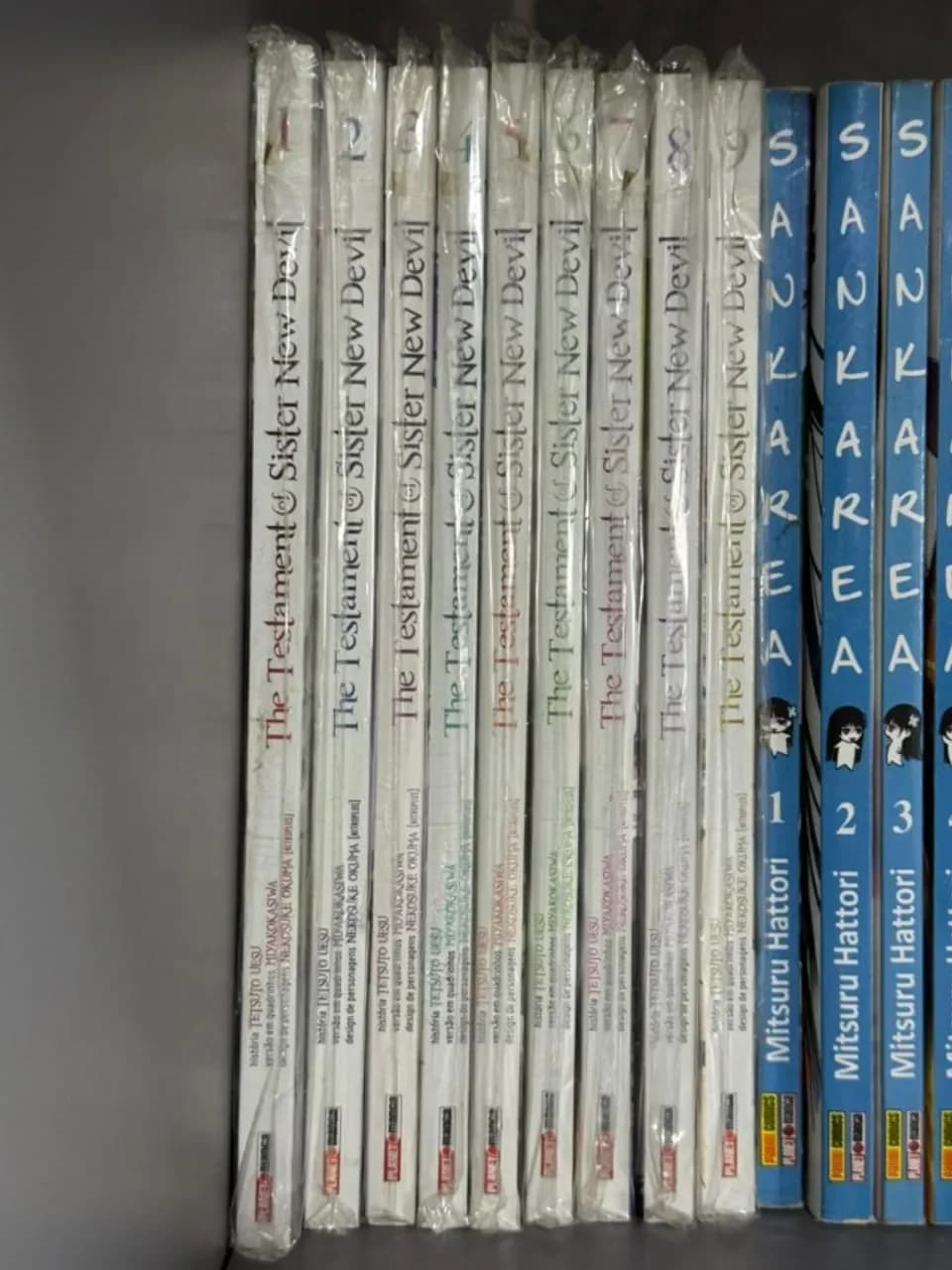 Mangás Testament of Sister New Devil 1 ao 9 Completo